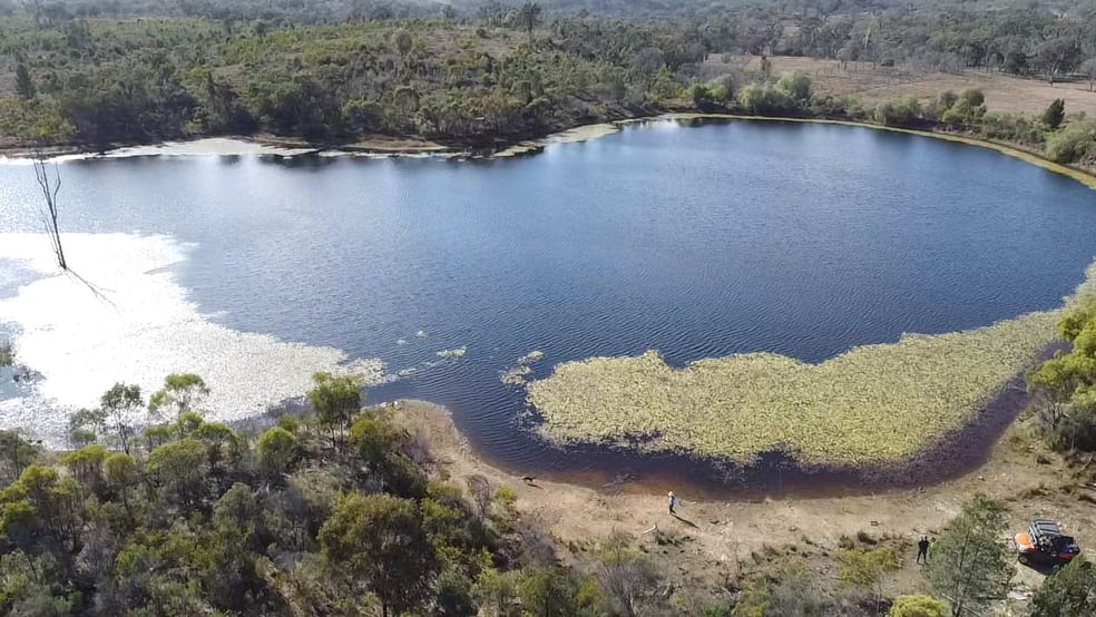 Click to view all images 2939 Mosquito Creek Road Mosquito Creek QLD 4387 - Image 3