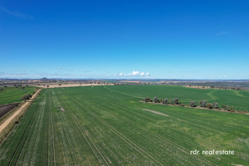 626 Fairford Road Warialda NSW 2402 - Image 2