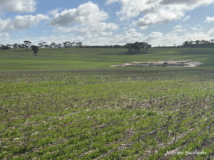 . "Red Hill", Bagnalls Road Dumbleyung WA 6350 - Image 2