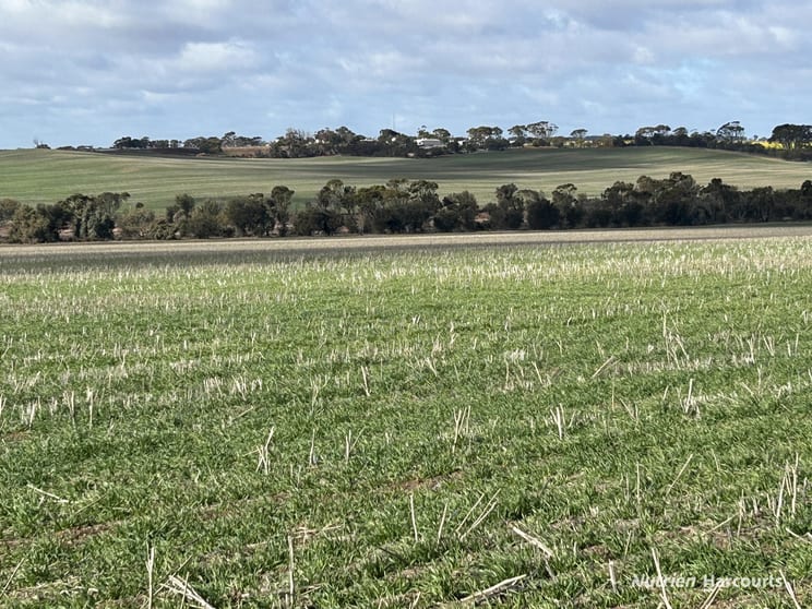 . "Red Hill", Bagnalls Road Dumbleyung WA 6350 - Image 3
