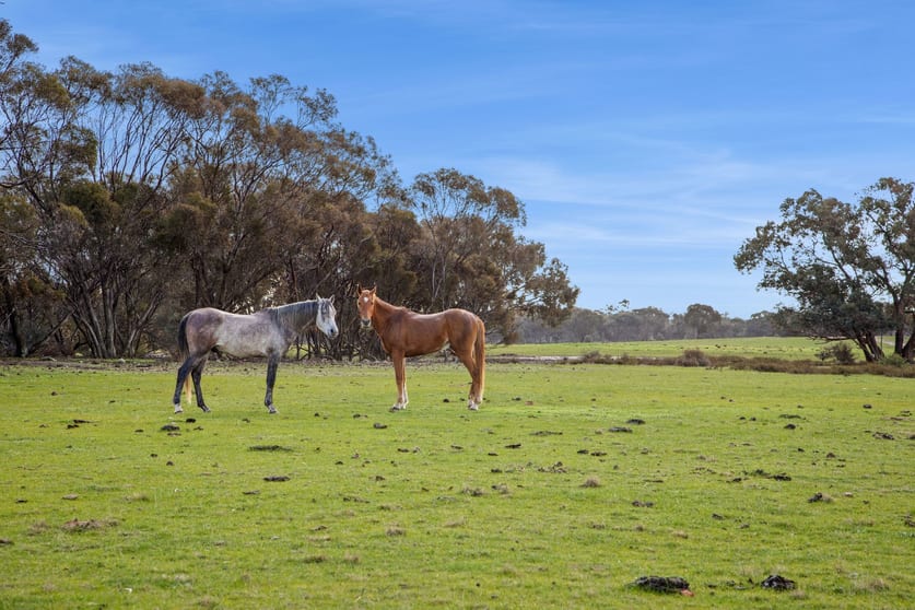 Lot 1/753 Clays Road Bagshot North VIC 3551 - Image 3