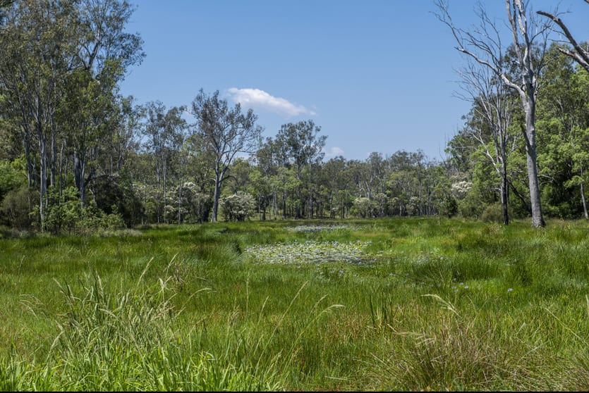 Click to view all images 40 Whiteman Creek Road The Whiteman NSW 2460 - Image 2