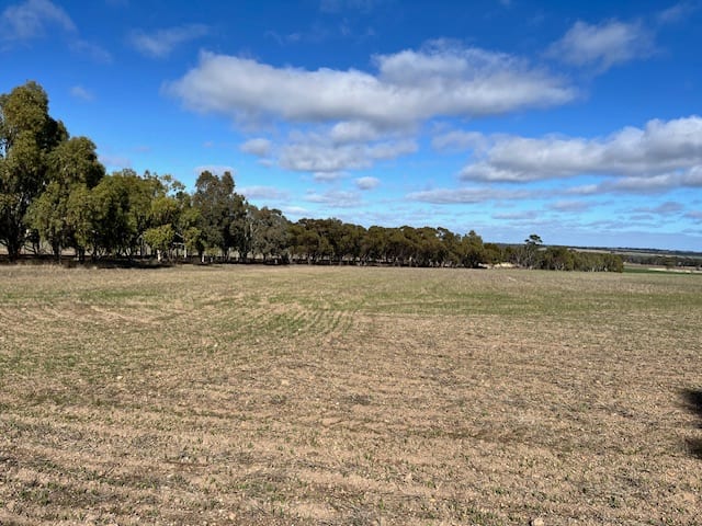 18 MANNING ROAD Quairading WA 6383 - Image 3