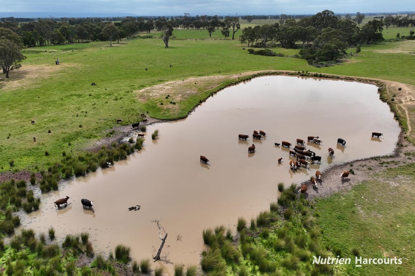 Lots 1 & 2 Rosedale-Flynns Creek Road Flynn VIC 3844 - Image 2