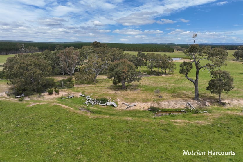 Lots 1 & 2 Rosedale-Flynns Creek Road Flynn VIC 3844 - Image 3