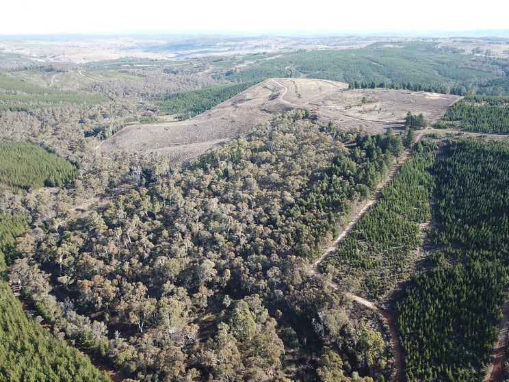 274 Hintons Road Isabella NSW 2795 - Image 1