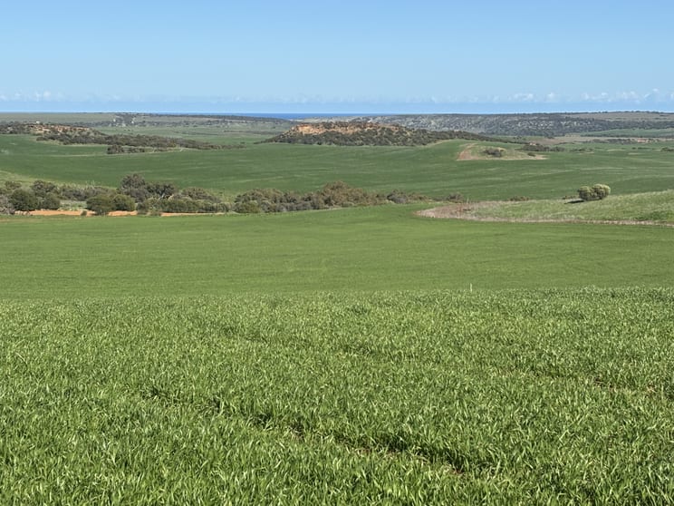 Lot 52 Starling Road Bowes WA 6535 - Image 3