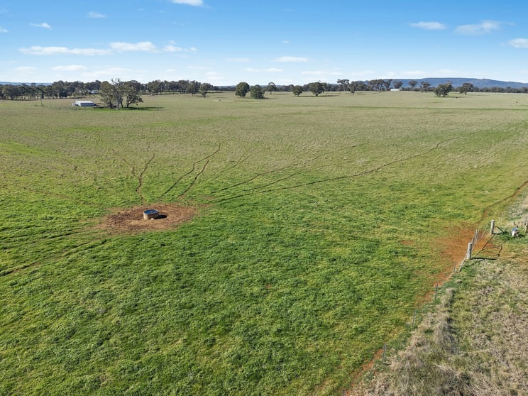 Lots 39 & 118 Of 2611 Henry Lawson Drive Gulgong NSW 2852 - Image 3