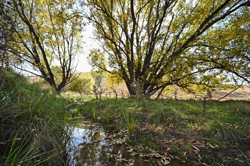 2585 Burraga Road Burraga NSW 2795 - Image 3
