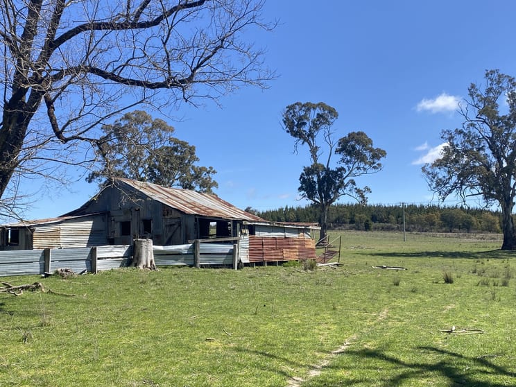 2585 Burraga Road Burraga NSW 2795 - Image 2