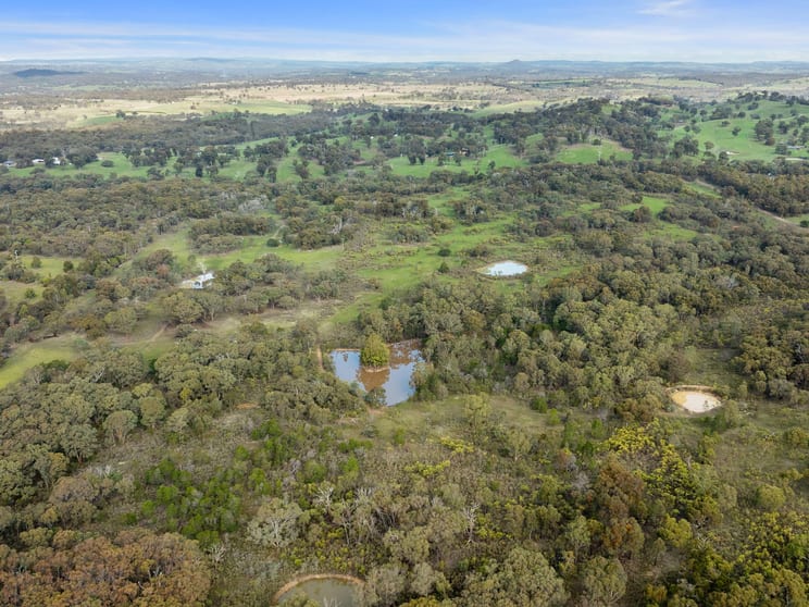 Click to view all images 110 Daisyburn Road Hilldene VIC 3660 - Image 3