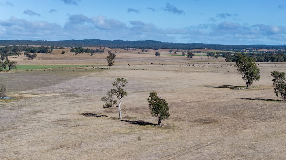 Click to view all images 5759 Purlewaugh Road Tambar Springs NSW 2381 - Image 3