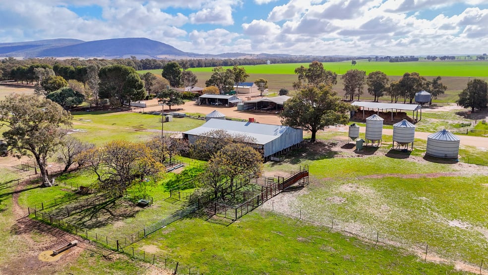 Click to view all images Lot 96/279 Old Forbes Road Grenfell NSW 2810 - Image 3