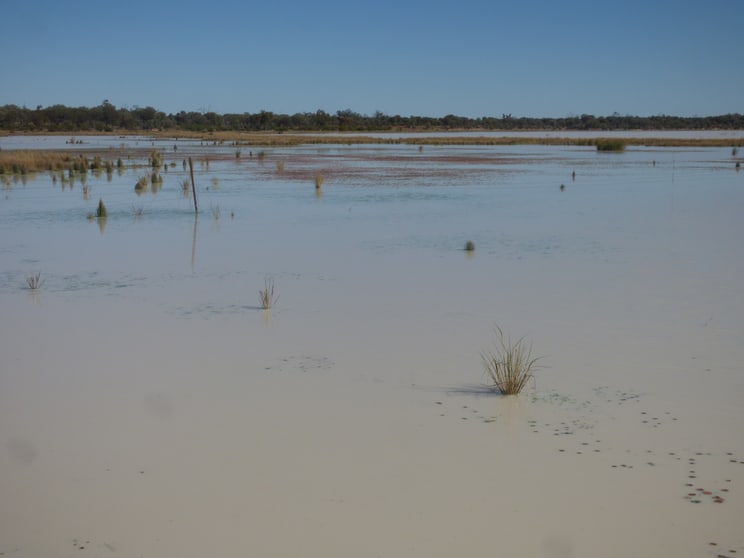 Click to view all images 9479 Balonne Highway Cunnamulla QLD 4490 - Image 3