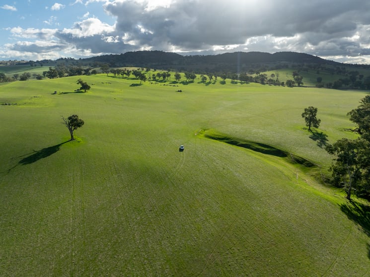Click to view all images 1507 Pine Mount Road Woodstock NSW 2793 - Image 2