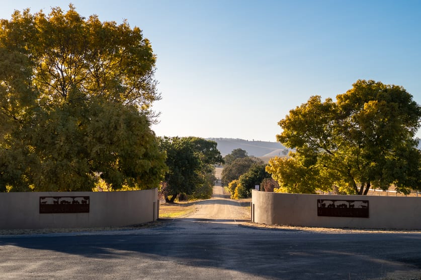 Click to view all images 1507 Pine Mount Road Woodstock NSW 2793 - Image 3