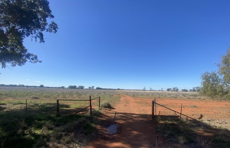 Click to view all images 382 Jones Lane Condobolin NSW 2877 - Image 1
