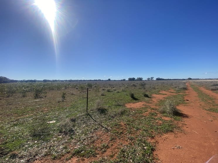 Click to view all images 382 Jones Lane Condobolin NSW 2877 - Image 3