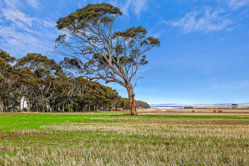 Click to view all images Lot 1 Thompson Road Maude VIC 3331 - Image 2