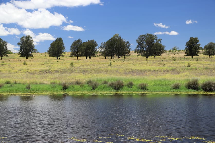 2053 Wallumbilla North Rd Wallumbilla QLD 4428 - Image 1
