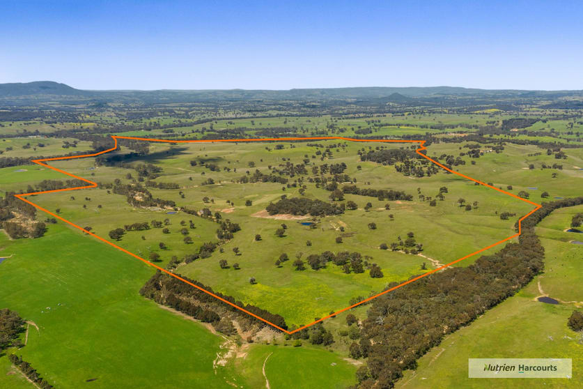 Click to view all images 5 Chapmans Road Glenaroua VIC 3764 - Image 3