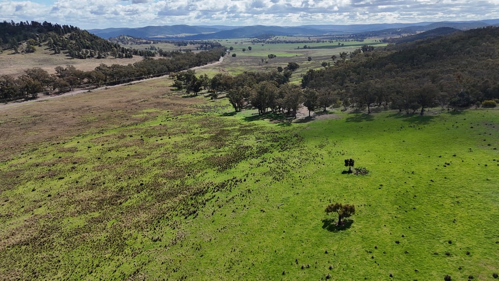 Click to view all images 2614 Nangar Road Eugowra NSW 2806 - Image 1