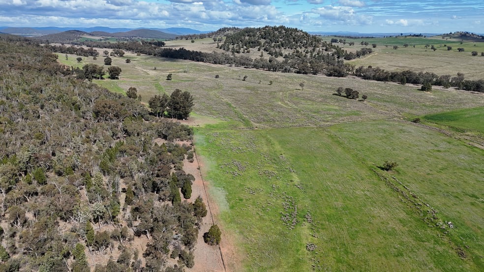 Click to view all images 2614 Nangar Road Eugowra NSW 2806 - Image 3
