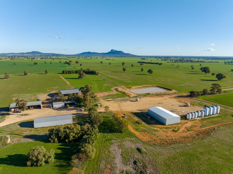 621 The Rock-Collingullie Road The Rock NSW 2655 - Image 3