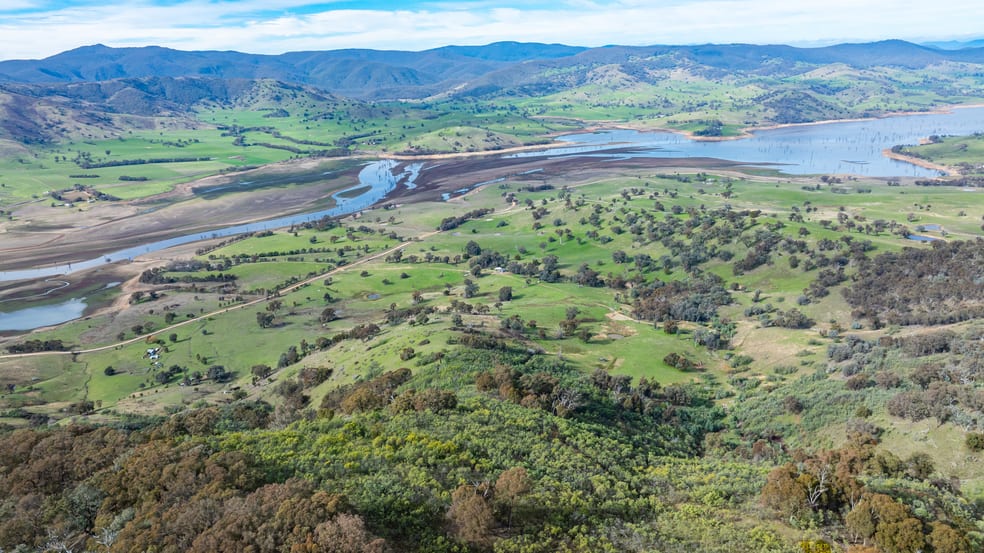 Click to view all images 8010 River Road Talmalmo NSW 2640 - Image 2