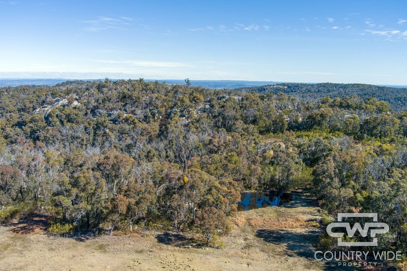 332, 41 Gilligans Lane Torrington NSW 2371 - Image 1