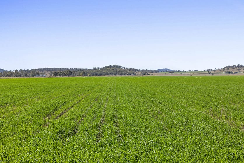 Click to view all images Lot 95 Bacons Road Kelvinhaugh QLD 4401 - Image 2