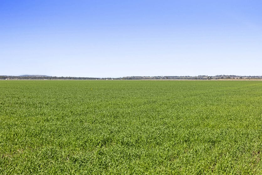 Click to view all images Lot 95 Bacons Road Kelvinhaugh QLD 4401 - Image 3