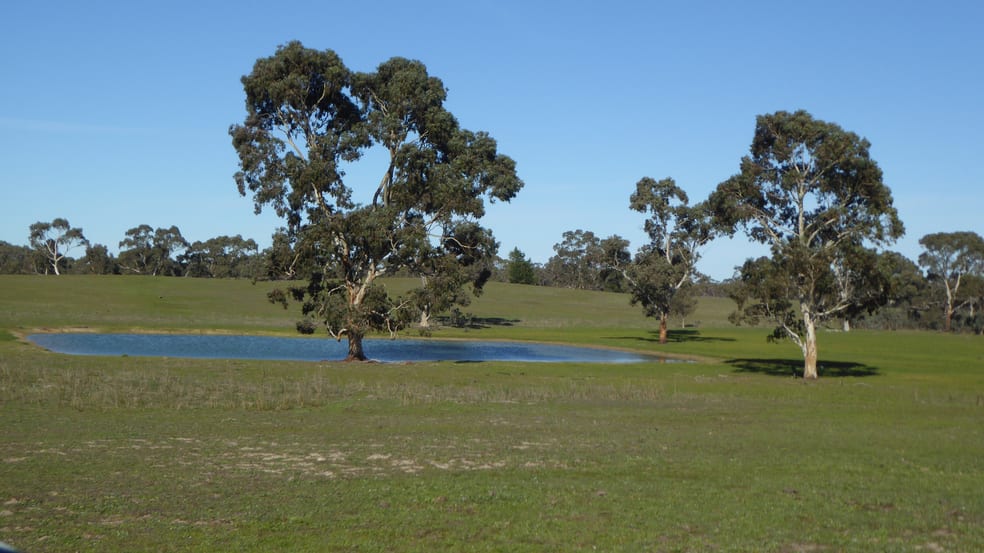 Click to view all images 2147 Bangham Road Frances SA 5262 - Image 2