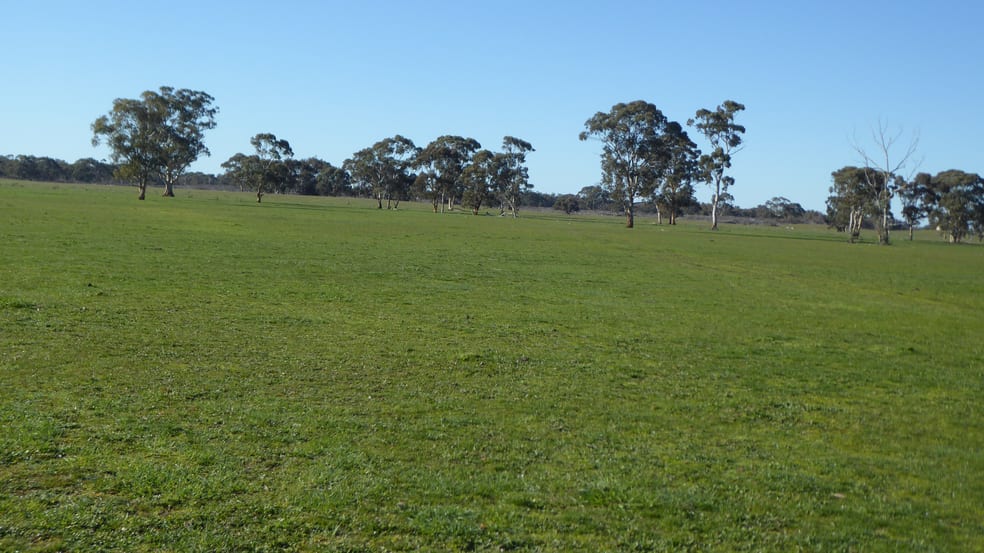 Click to view all images 2147 Bangham Road Frances SA 5262 - Image 3