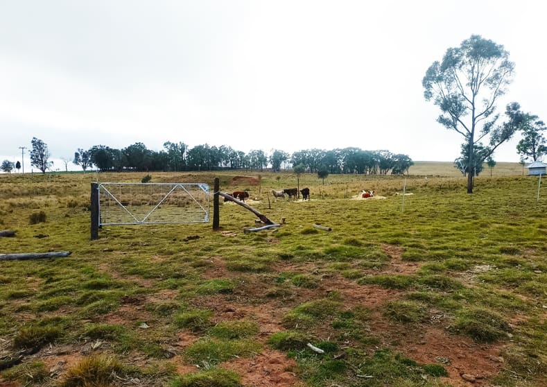 Click to view all images 22 Cainbill Road Coolah NSW 2843 - Image 2
