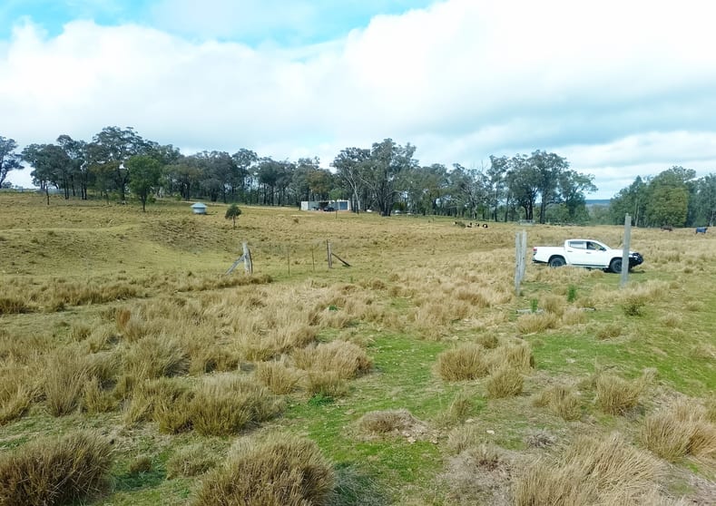 Click to view all images 22 Cainbill Road Coolah NSW 2843 - Image 3