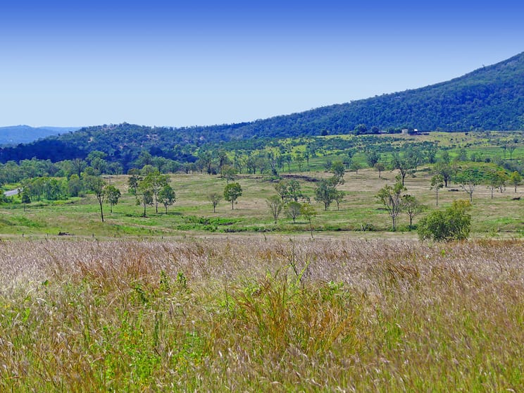 Click to view all images LOT 570, 2, 3 Capricorn Highway Westwood QLD 4702 - Image 1