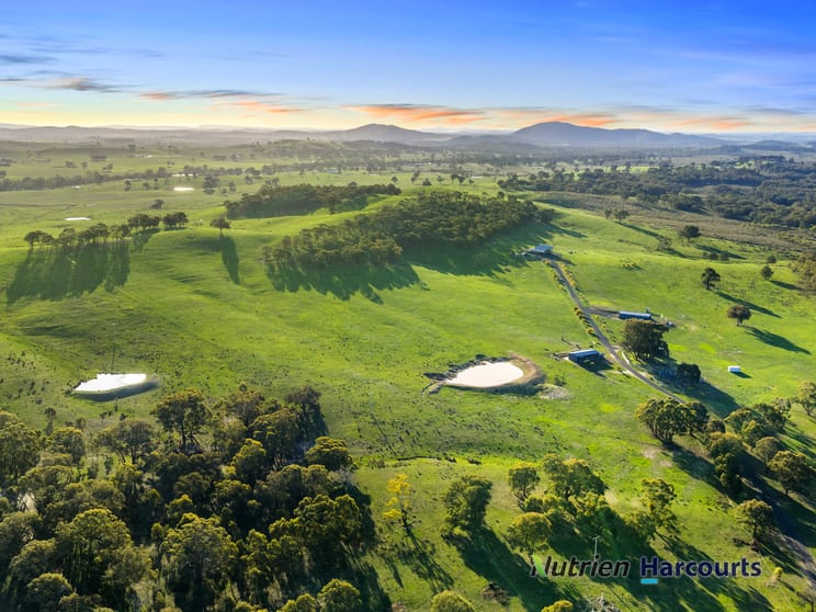 Click to view all images 250 Daisyburn Road Hilldene VIC 3660 - Image 2