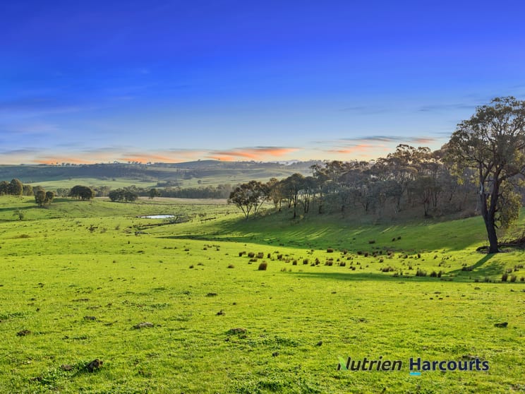 Click to view all images 250 Daisyburn Road Hilldene VIC 3660 - Image 3