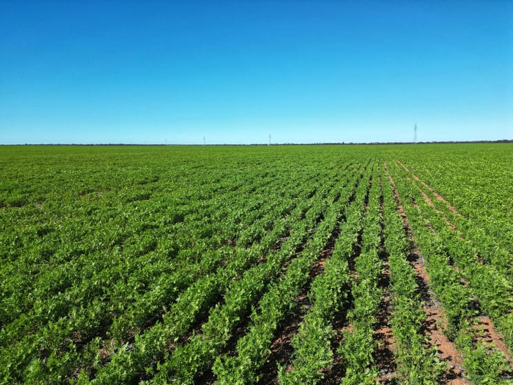 Click to view all images 1208 Nowie Road Nowie VIC 3585 - Image 3