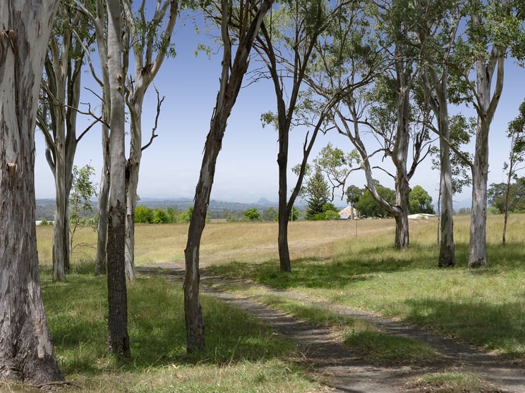 Click to view all images 57 Coleyville Road Mutdapilly QLD 4307 - Image 2