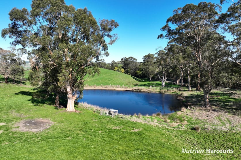 Click to view all images 37 Sullivans Road Korumburra VIC 3950 - Image 3