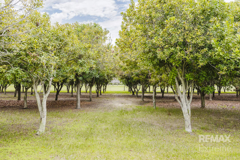 Click to view all images 77 Feldts Road Martin WA 6110 - Image 3