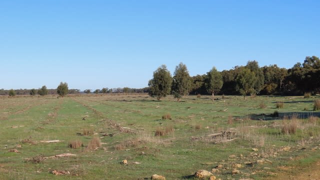 225 Coles-Killanoola Road Coles SA 5272 - Image 1