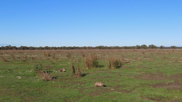 225 Coles-Killanoola Road Coles SA 5272 - Image 3
