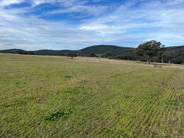 Click to view all images 989 South Valley Road Rocky Creek NSW 2371 - Image 2