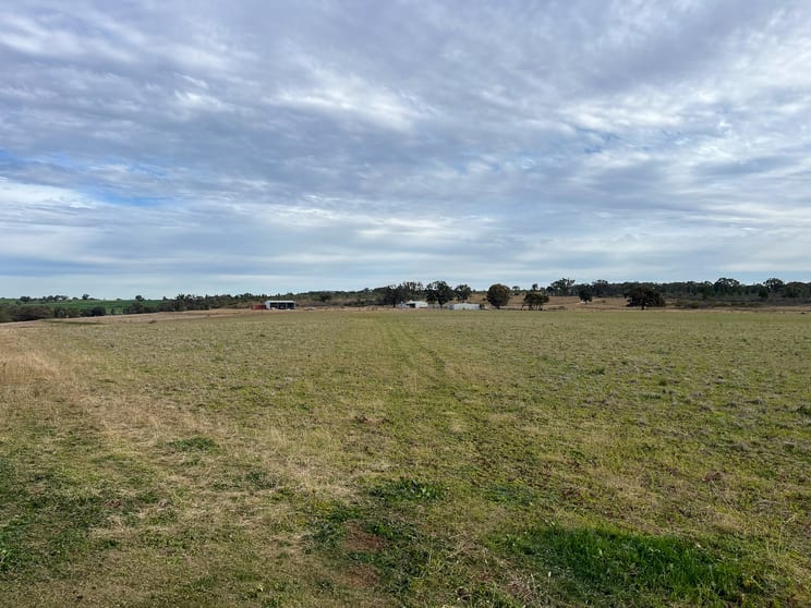 Click to view all images 989 South Valley Road Rocky Creek NSW 2371 - Image 3