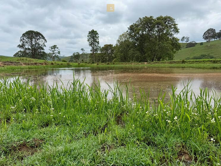 Click to view all images 84 Wallanbah Road Gloucester NSW 2422 - Image 2
