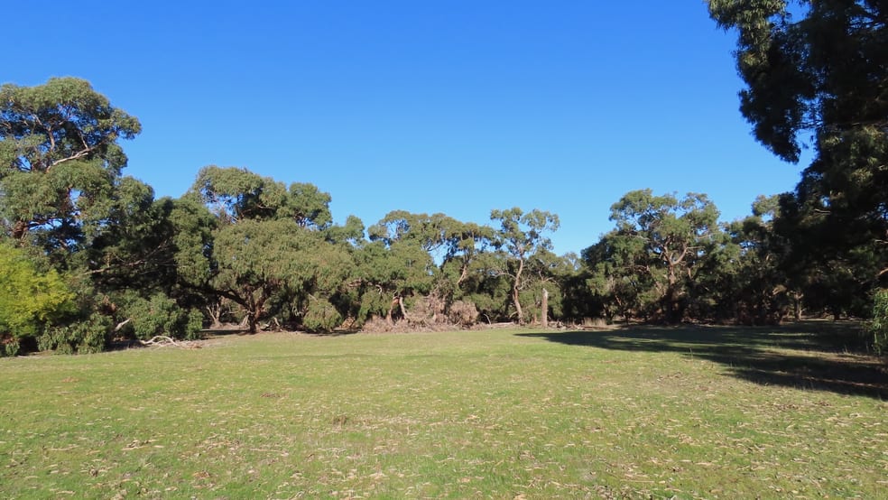 225 Coles-Killanoola Road Coles SA 5272 - Image 2