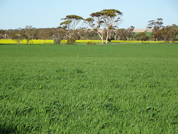 Click to view all images 1103 Bullaring - Gorge Rock Road Bullaring WA 6373 - Image 2